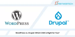 WordPress vs. Drupal: Choosing the Right CMS for Your Website